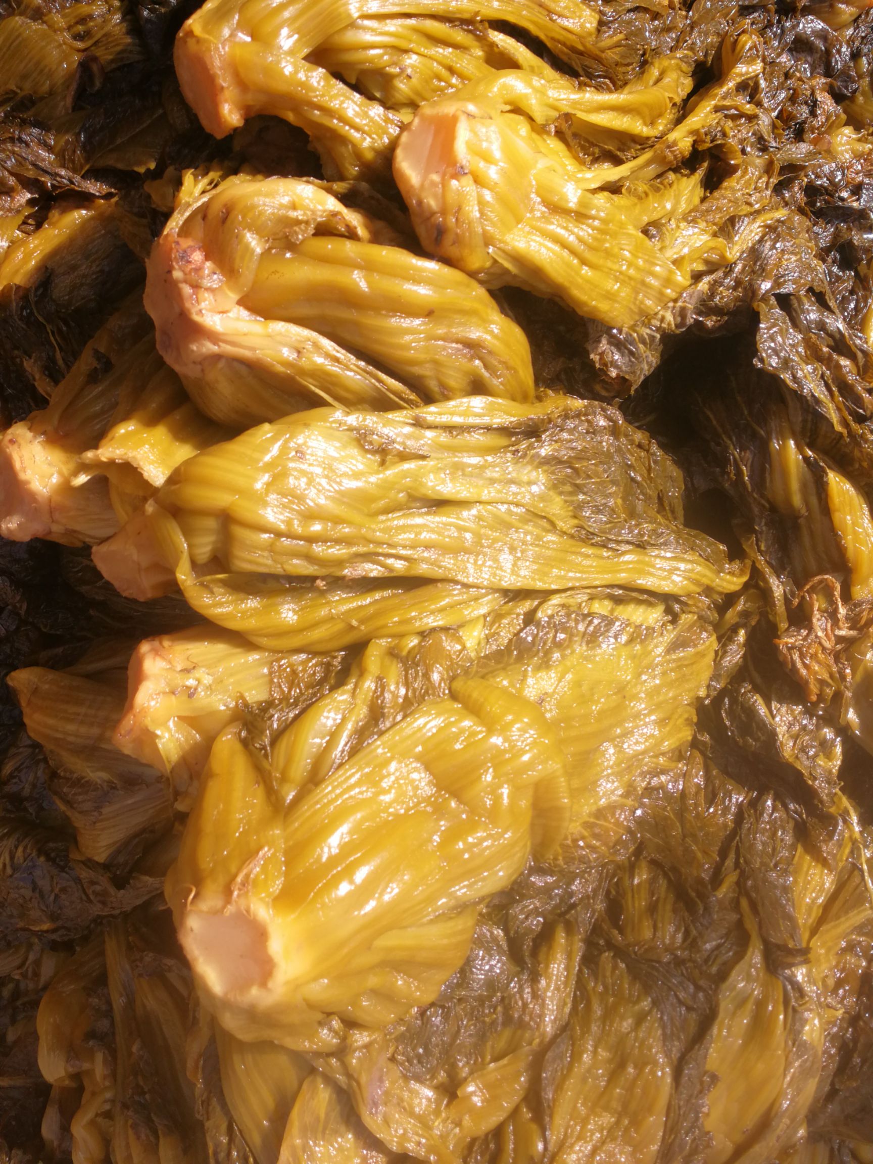 酸菜（宽叶芥菜，方便面料包，市场销售）