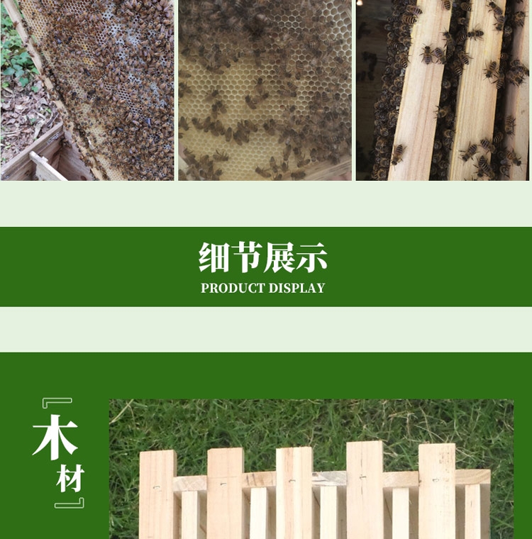 巢框蜂巢框中蜂意蜂半成品杉木巢礎(chǔ)框架蜜蜂養(yǎng)蜂專(zhuān)用蜂箱工具