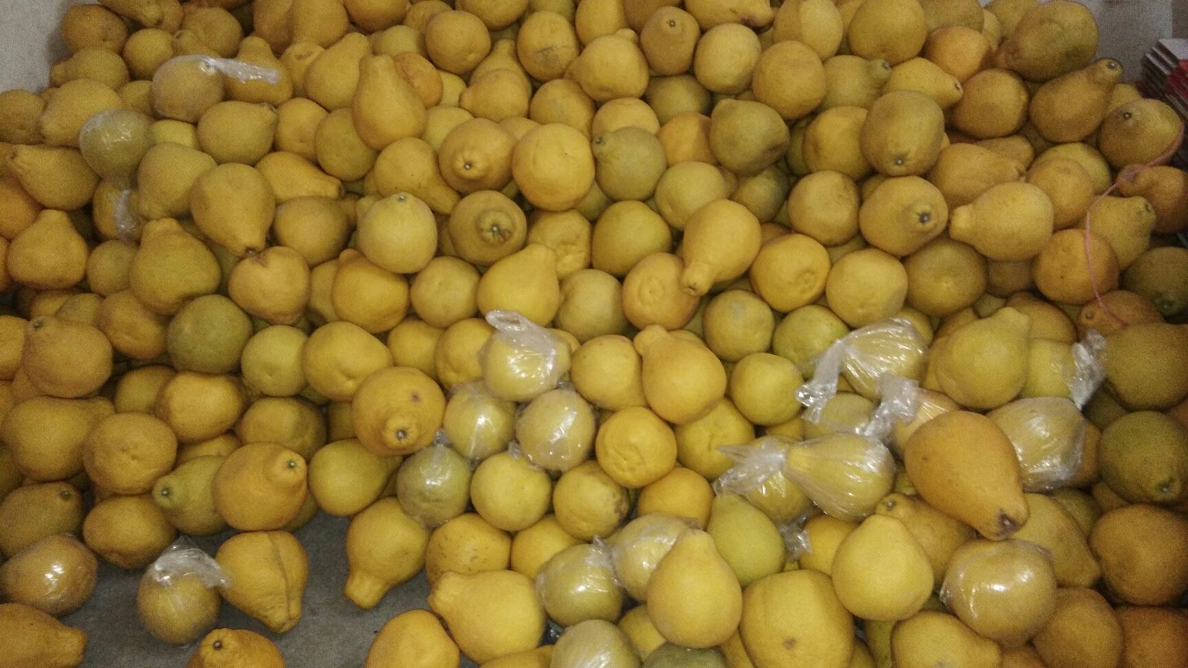  正宗容县自良沙田柚