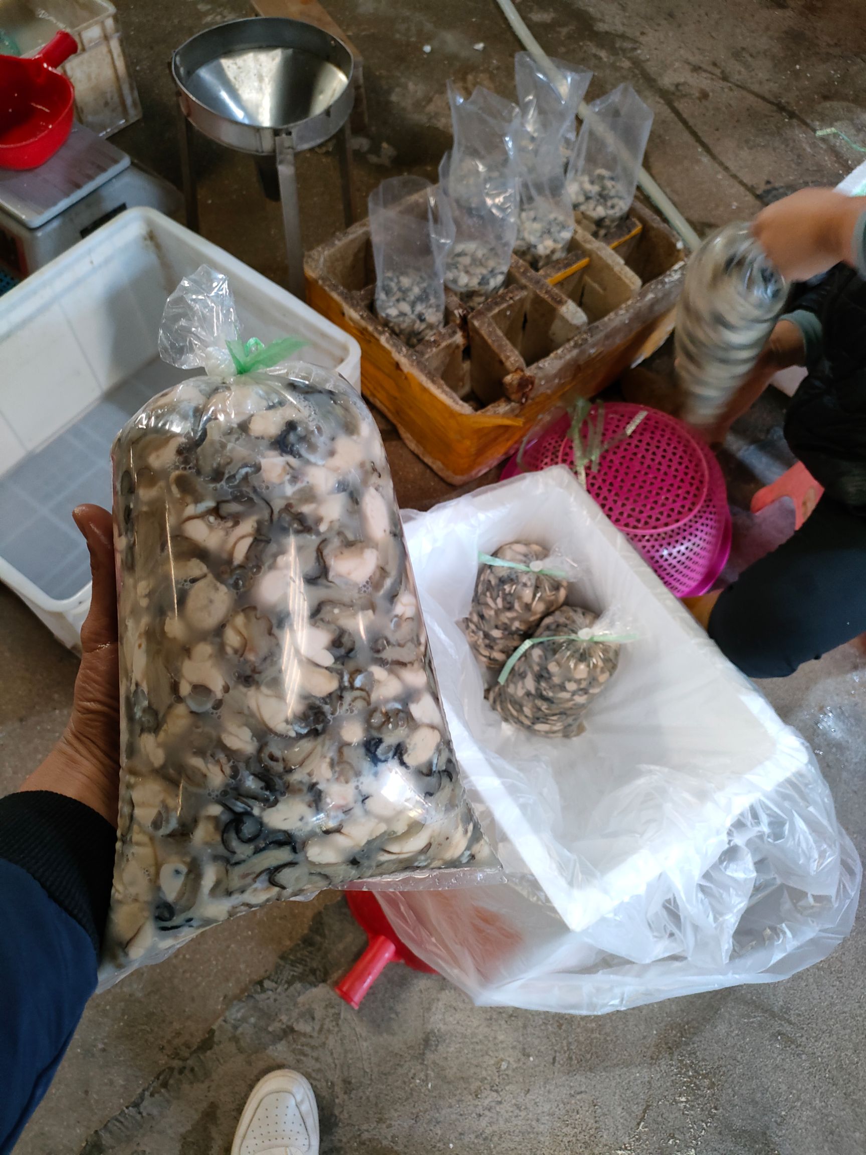 长牡蛎  现剥鲜活乳山生蚝肉牡蛎肉海蛎子肉火锅烧烤新鲜海鲜去壳纯生蚝肉