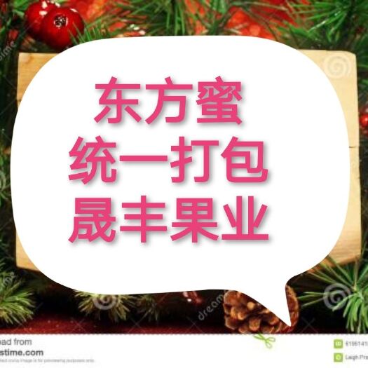 三门县东方蜜甜瓜  小果，成熟度8层