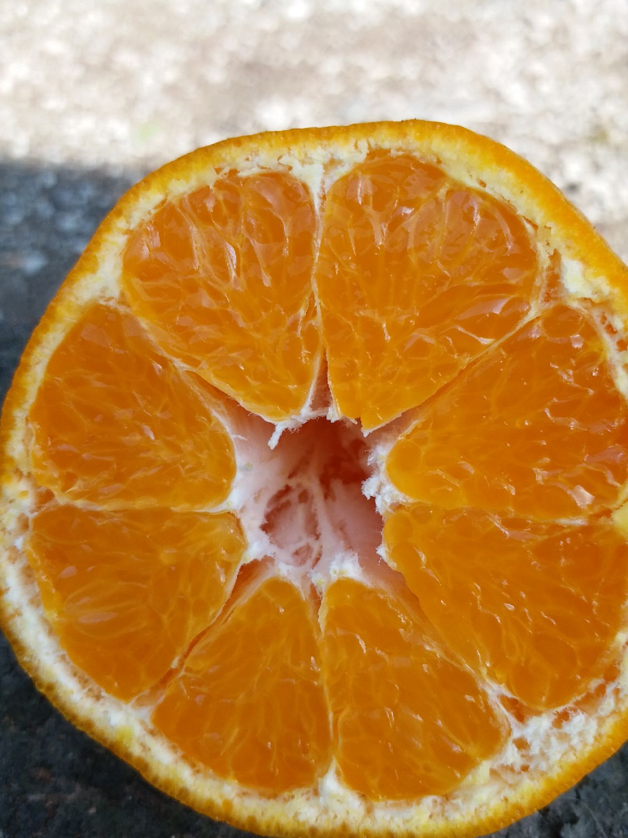 耙耙柑  自家种植，耙耙桔。