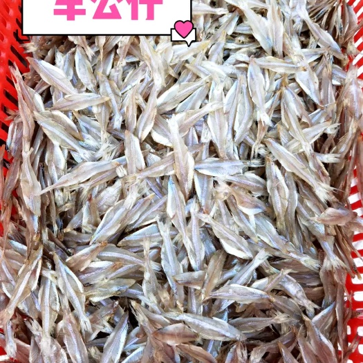 遂溪县海燕鱼干  鱼干，，车公仔，湛江特产鱼干仔，干度好