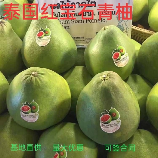 泰国红宝石柚苗  青柚苗.泰国红宝石青柚苗.保证品质.红宝石