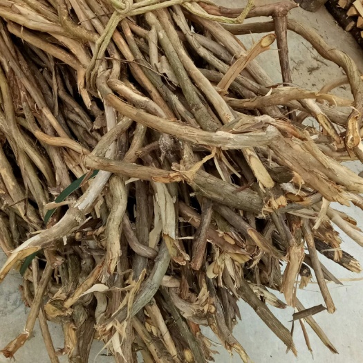 金银花根  金银花藤中药材