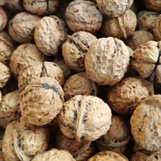 凤庆县核桃仁  ，农村种植薄皮核桃