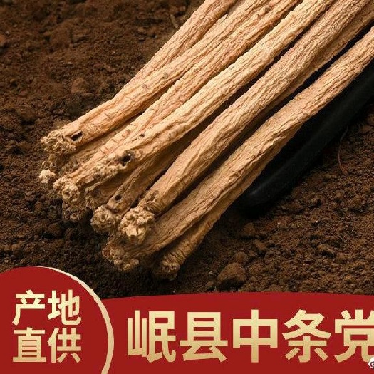 岷县秦岭党参