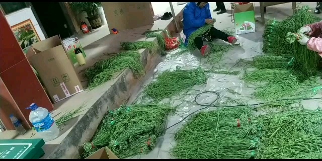 鹤庆县贡菜  一级