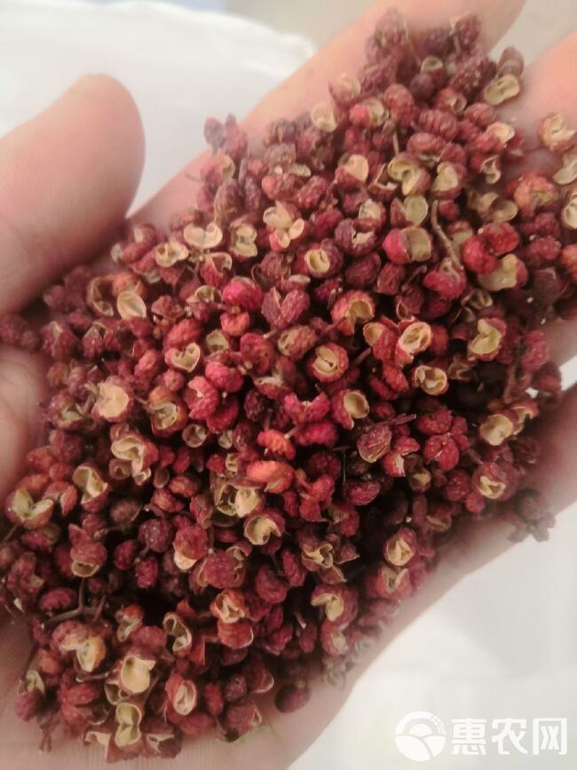 陕西红花椒颗粒，2023新货，色选梅花。大红袍干花椒颗粒。