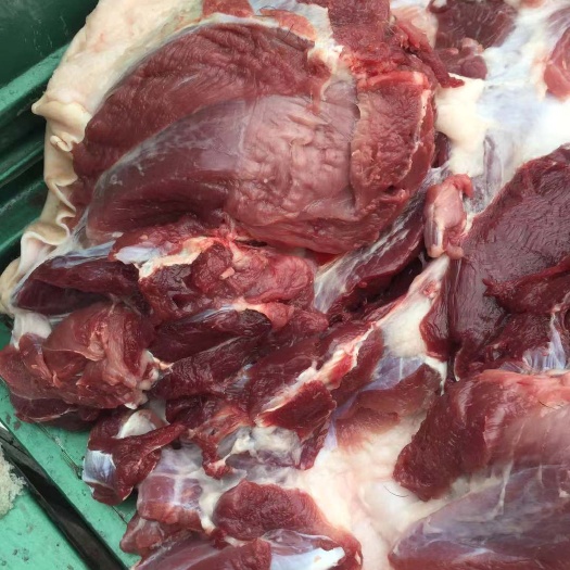 土猪肉 土黑猪肉长年供应