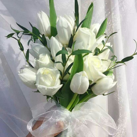 郁金香切花 郁金香鲜花云南鲜花基地直发
