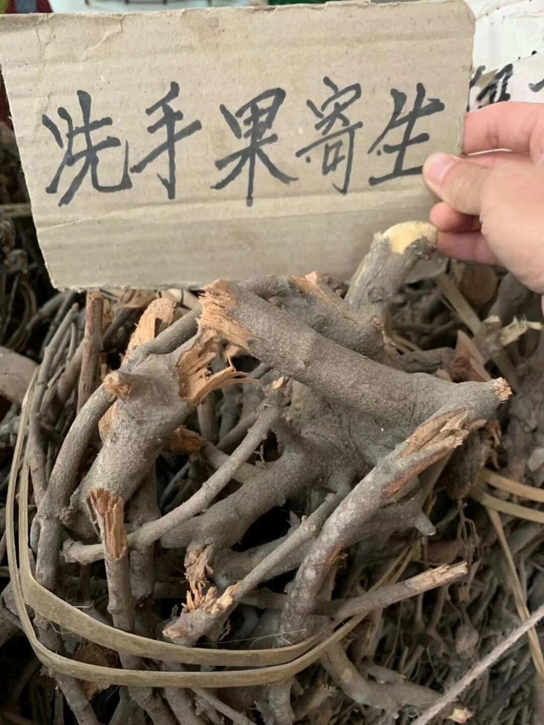 洗手果寄生，又叫木患子、无患子寄生