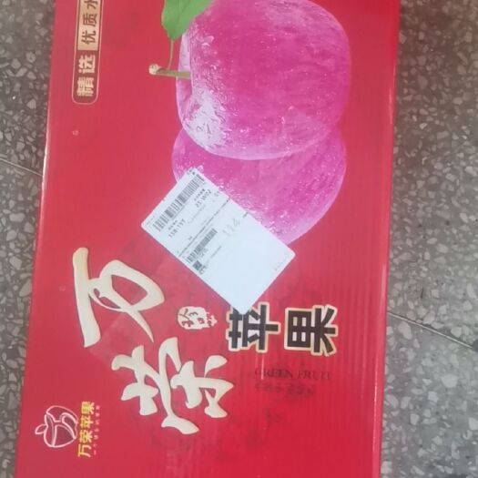 万荣县红富士苹果 纸+膜袋 条红+片红 一级果 