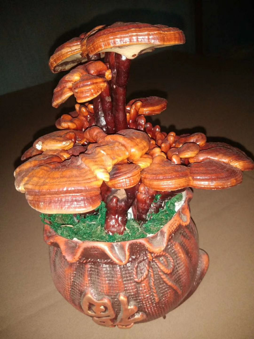造型灵芝  灵芝工艺盆景，工艺品，装饰品