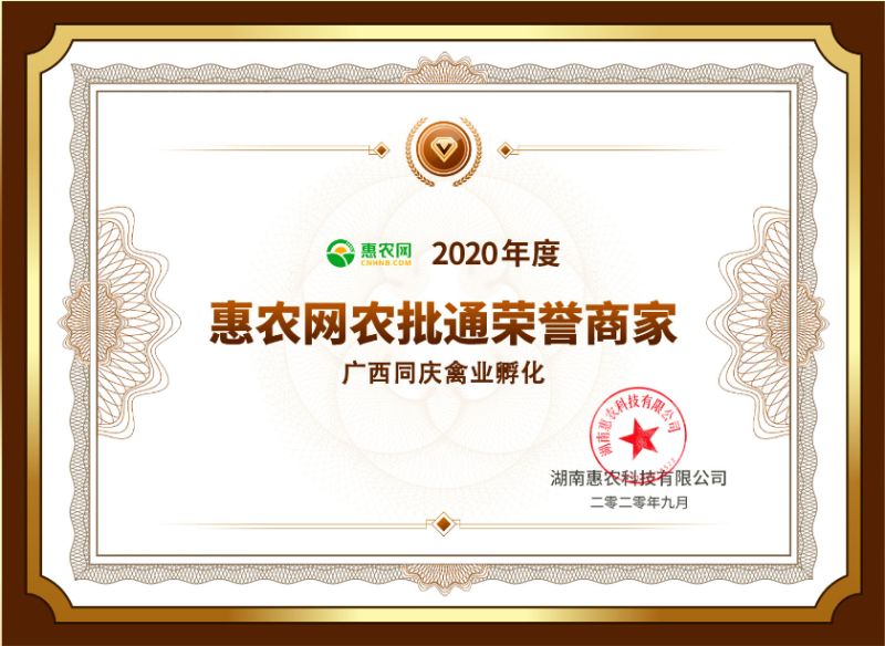 大种花番鸭 火鸭苗 巴巴里 西洋鸭苗 严选荣誉商家 企业认证