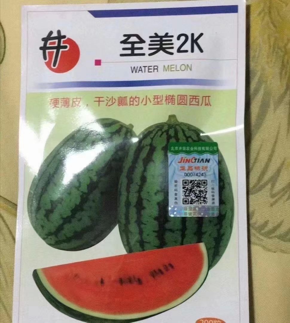 早春红玉西瓜苗  礼品西瓜苗早春红玉全美2k美都特小凤小兰直播苗嫁接苗