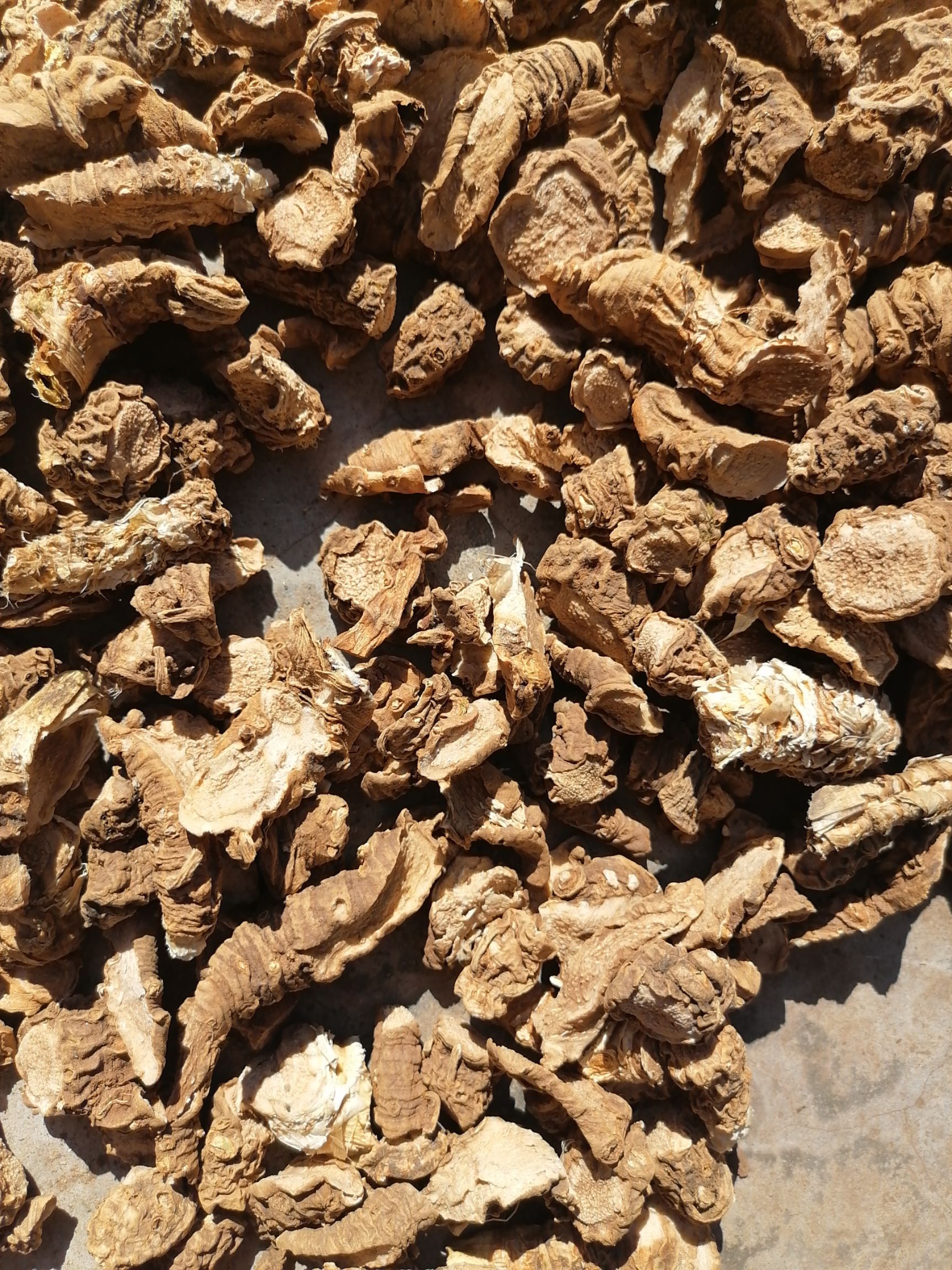 竹根七  云南药材，开囗箭，产地直发，欢迎咨询合作