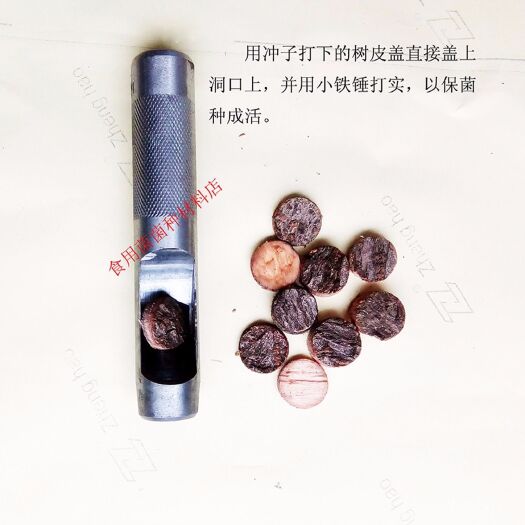 南平锤子类 16毫香菇木耳打盖子冲皮点钟工具木盖子冲子木头打孔器