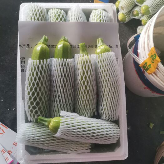 广饶县绿皮西葫芦  蔬菜基地：大量供应优质西葫芦。