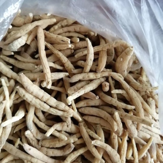 太子参  ，孩子参主功能是健胃健脾，补虚预防，可泡酒泡茶