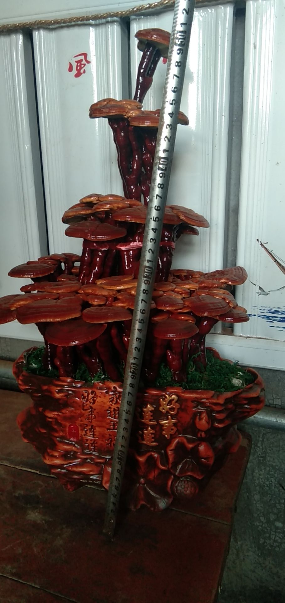 造型灵芝  灵芝工艺盆景，工艺品，装饰品