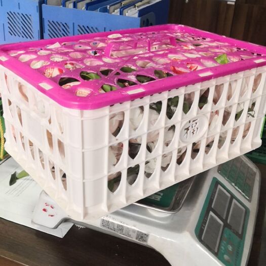 蒲江县塑料筐  专业生产果蔬，农产品包装筐、折叠筐，周转筐，电商筐。