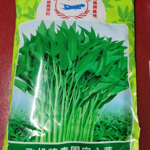 怀化飞机牌泰国空心菜柳叶空心菜种子夏季阳台盆栽蔬菜种籽