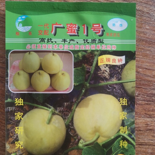 南宁甜瓜种子  广密1号薄皮瓜