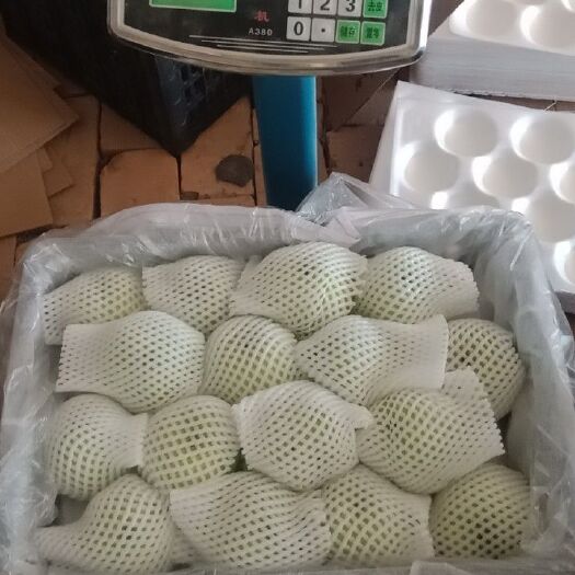冠县各种水果网套，梨，苹果，油桃，生菜球，羊角蜜，香瓜专用网套