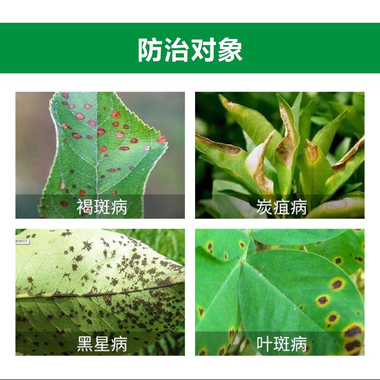 星牌盈润苯甲肟菌酯白粉病炭疽病黑星病叶斑病早晚疫病高效杀菌剂