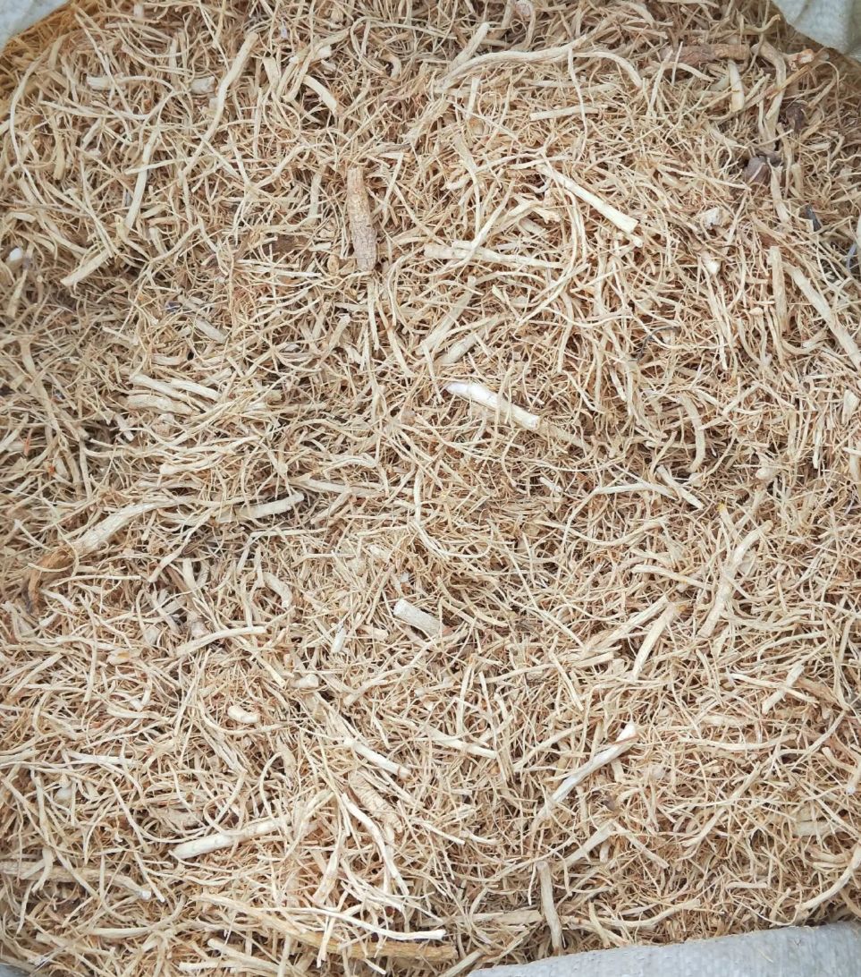 5年无硫优质西洋参碎须产地批发 一手货源 量大从优 欢迎选购