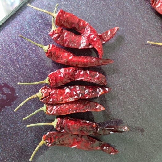 贵州海椒 主要售卖满天星，艳椒，遵辣九号辣椒。质量最优，价格公道。