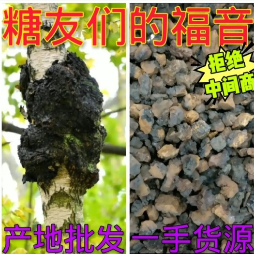 抚松县白桦茸  东北桦树茸黑金颗粒 天然不染色无提取  产地批发