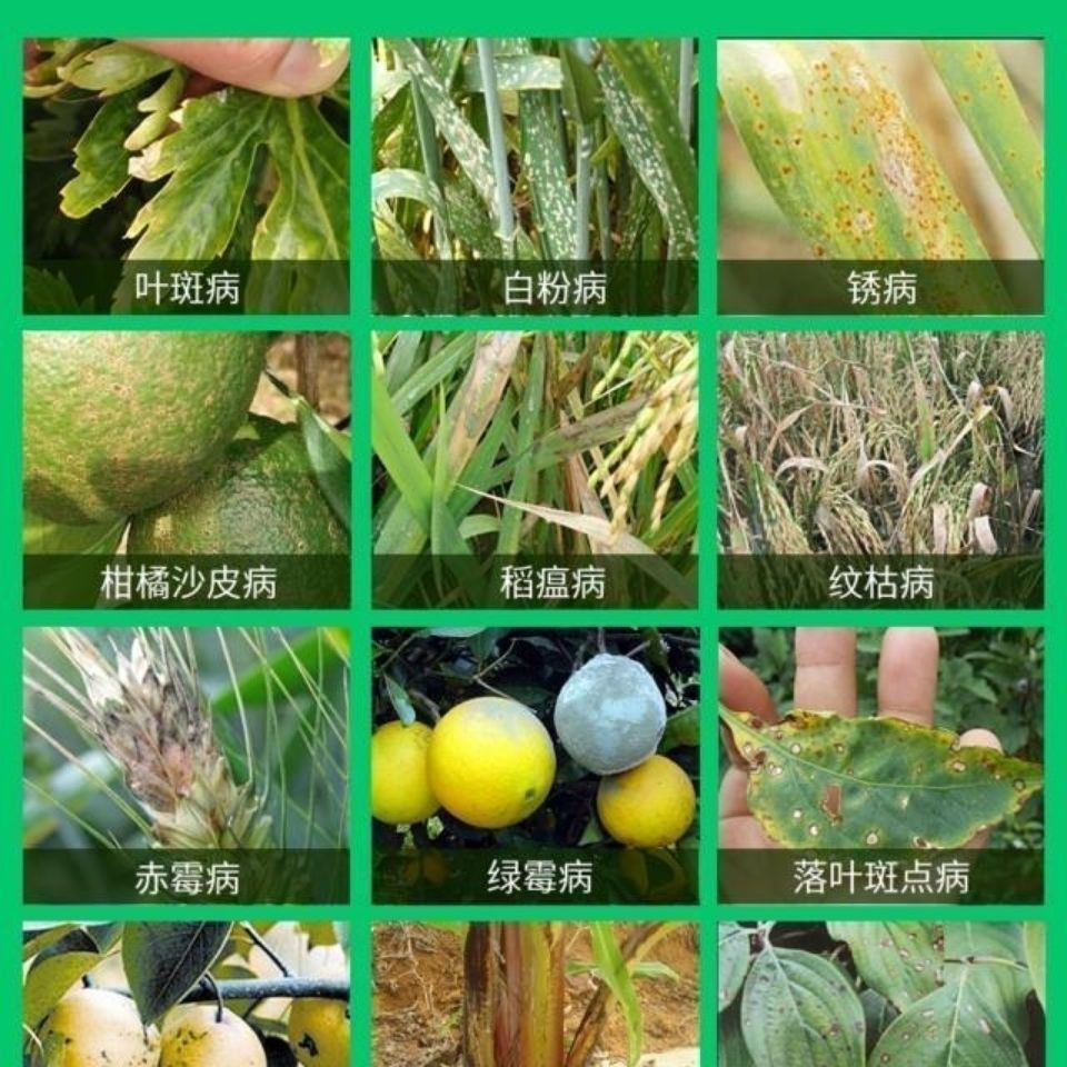 星牌盈润苯甲肟菌酯白粉病炭疽病黑星病叶斑病早晚疫病高效杀菌剂