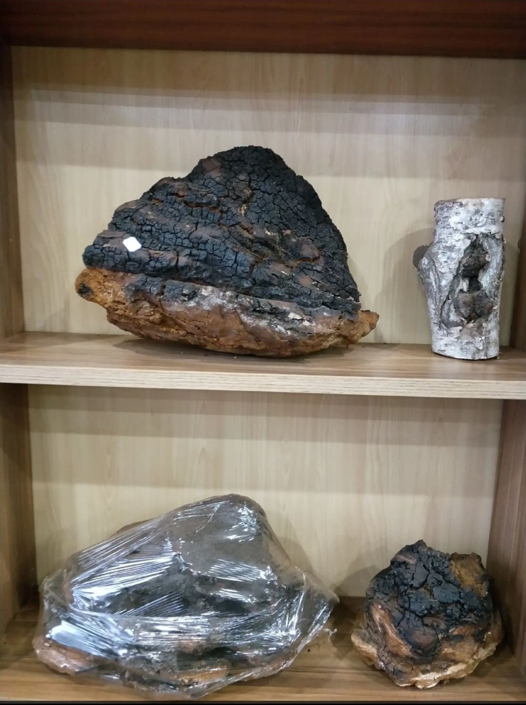 白桦茸  东北桦树茸黑金颗粒 天然不染色无提取  产地批发