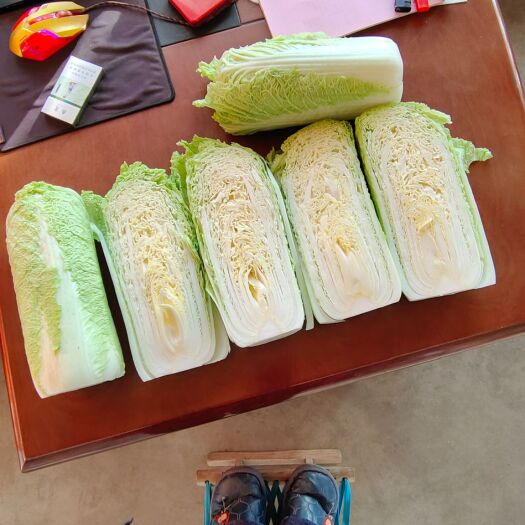 北京新3号  北京三号白菜，北京新三号山东大白菜