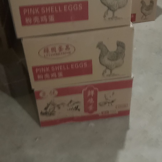 辛集市粉壳蛋  春节前开始备货了！！！！