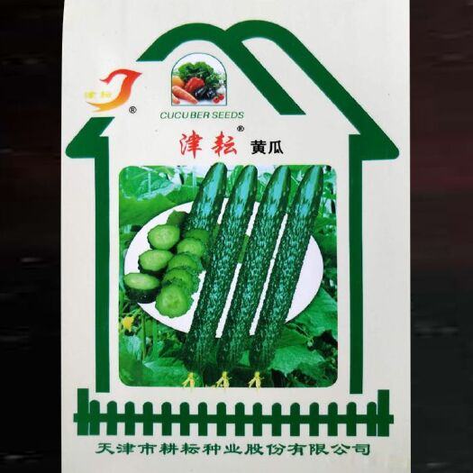 湘乡市黄瓜种子 天津翠青黄瓜种子 早熟好吃庭院阳台种适应性广3克