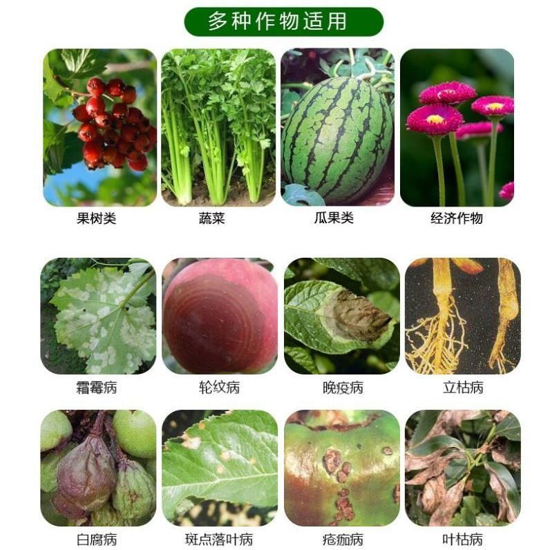 星牌盈润苯甲肟菌酯白粉病炭疽病黑星病叶斑病早晚疫病高效杀菌剂