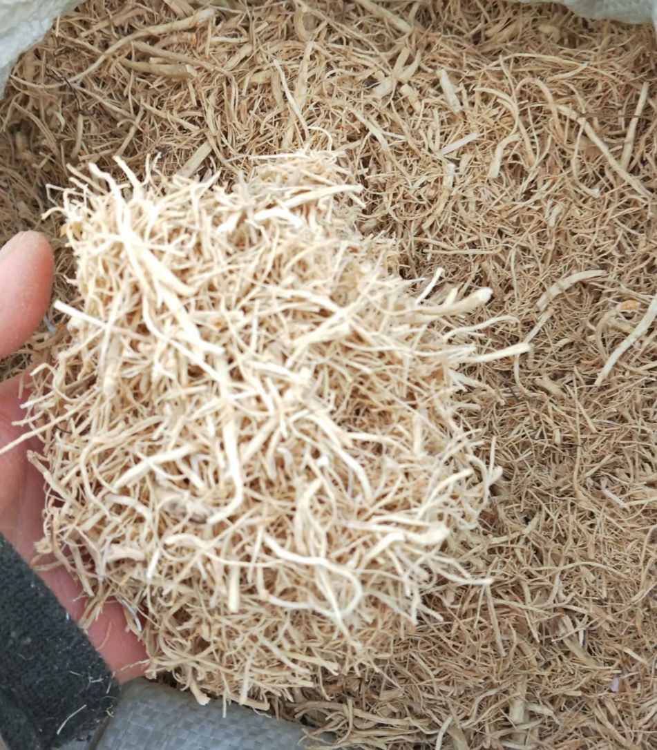 5年无硫优质西洋参碎须产地批发 一手货源 量大从优 欢迎选购