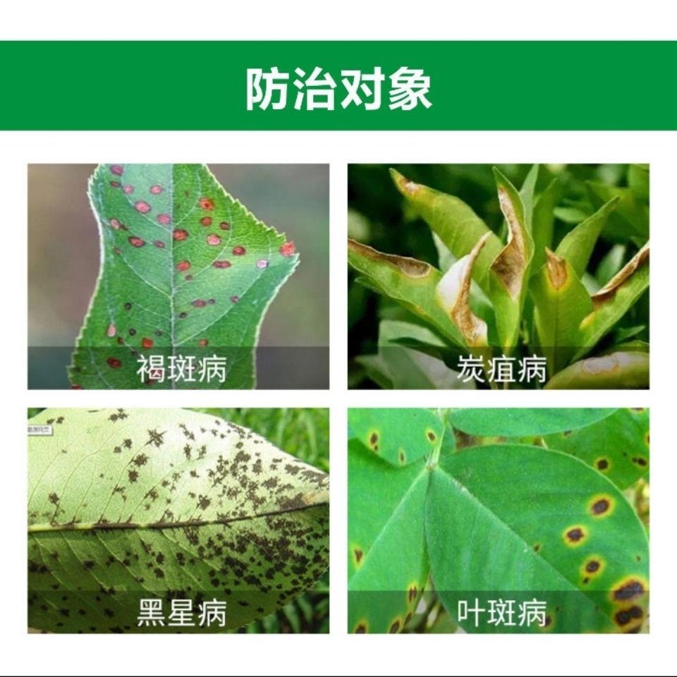 星牌盈润苯甲肟菌酯白粉病炭疽病黑星病叶斑病早晚疫病高效杀菌剂