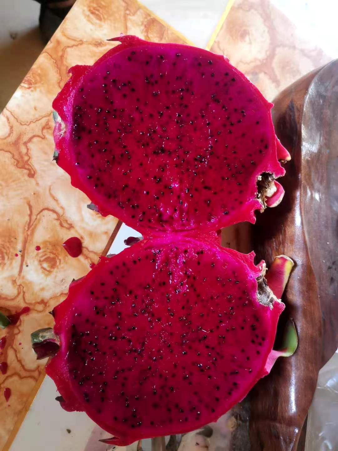 红皮红肉火龙果苗  燕窝火龙果苗 大红 红肉火龙果苗 嫁接苗 四季可种