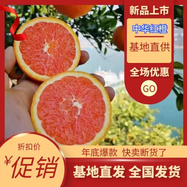 秭归县红橙味甜果大，中华红橙市场  电商供货