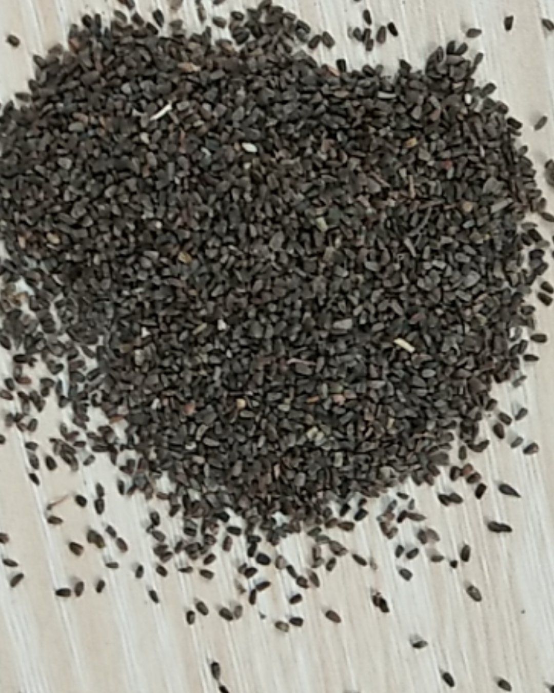 出售新产益母草种子 益母草籽 一年生 春秋种植 芽率高