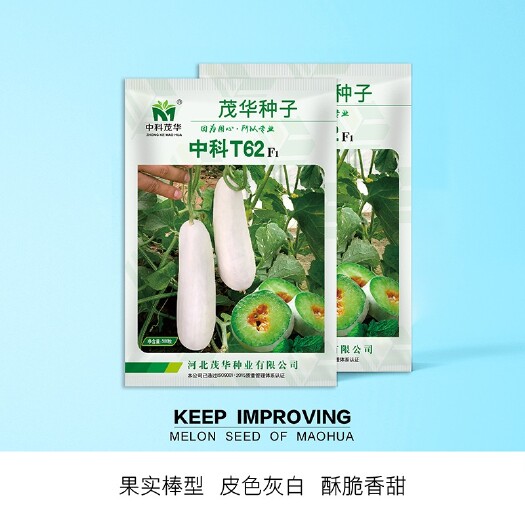 夏邑县中科T62甜瓜种子，长棒型，灰白皮黄绿肉，酥脆多汁，清香爽口