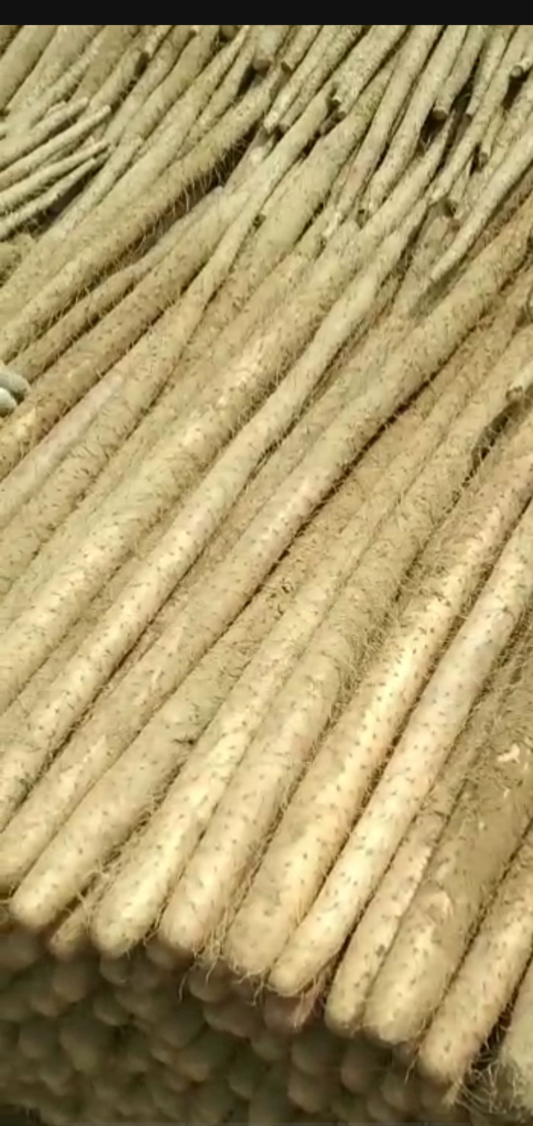 白玉山药 山药产地直供欢迎各位老板们前来采购