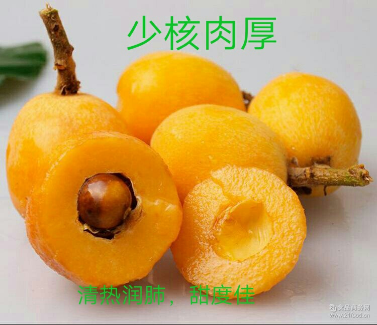 大五星枇杷苗  清肺润肺包品种保证质量