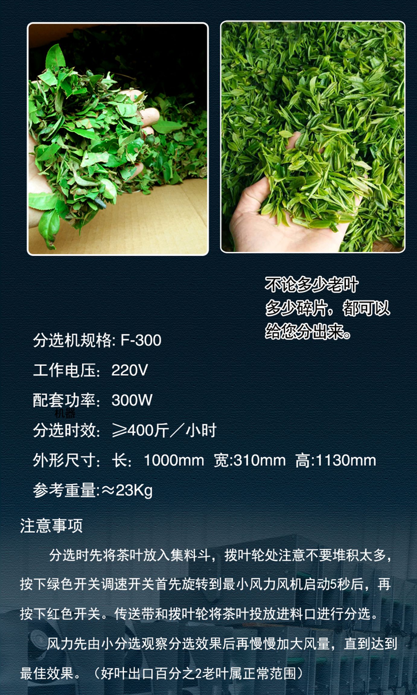 款江诚盛海采茶机 剪茶机分离老叶和单片