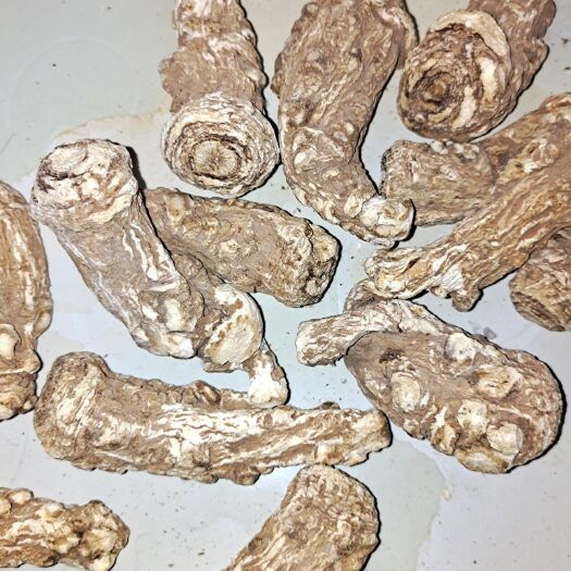 渭源县当归，当归头，全归，各种饮片，个子，
