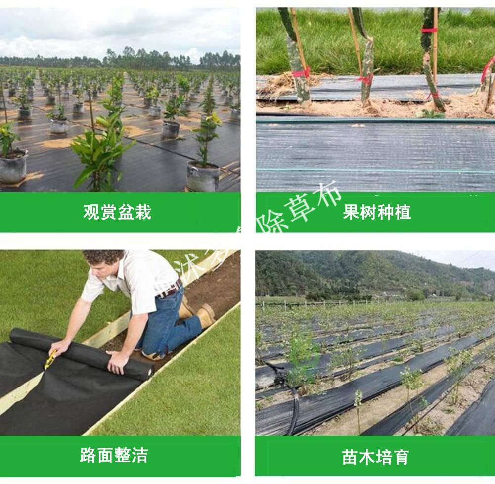 地膜  长寿命塑料编织膜，透气、透水、保温、保湿